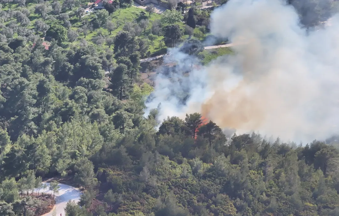 Καπνός από πυρκαγιά σε πευκοδάσος, από drone